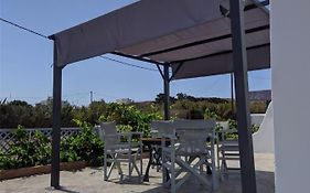 Chrysiis House 2